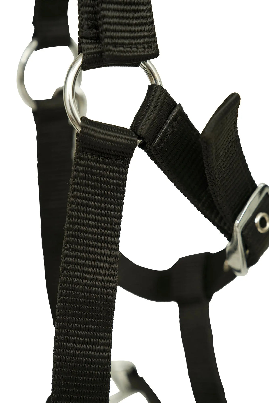 Huntley Nylon Padded Lunging Caveson, Black Huntley Equestrian