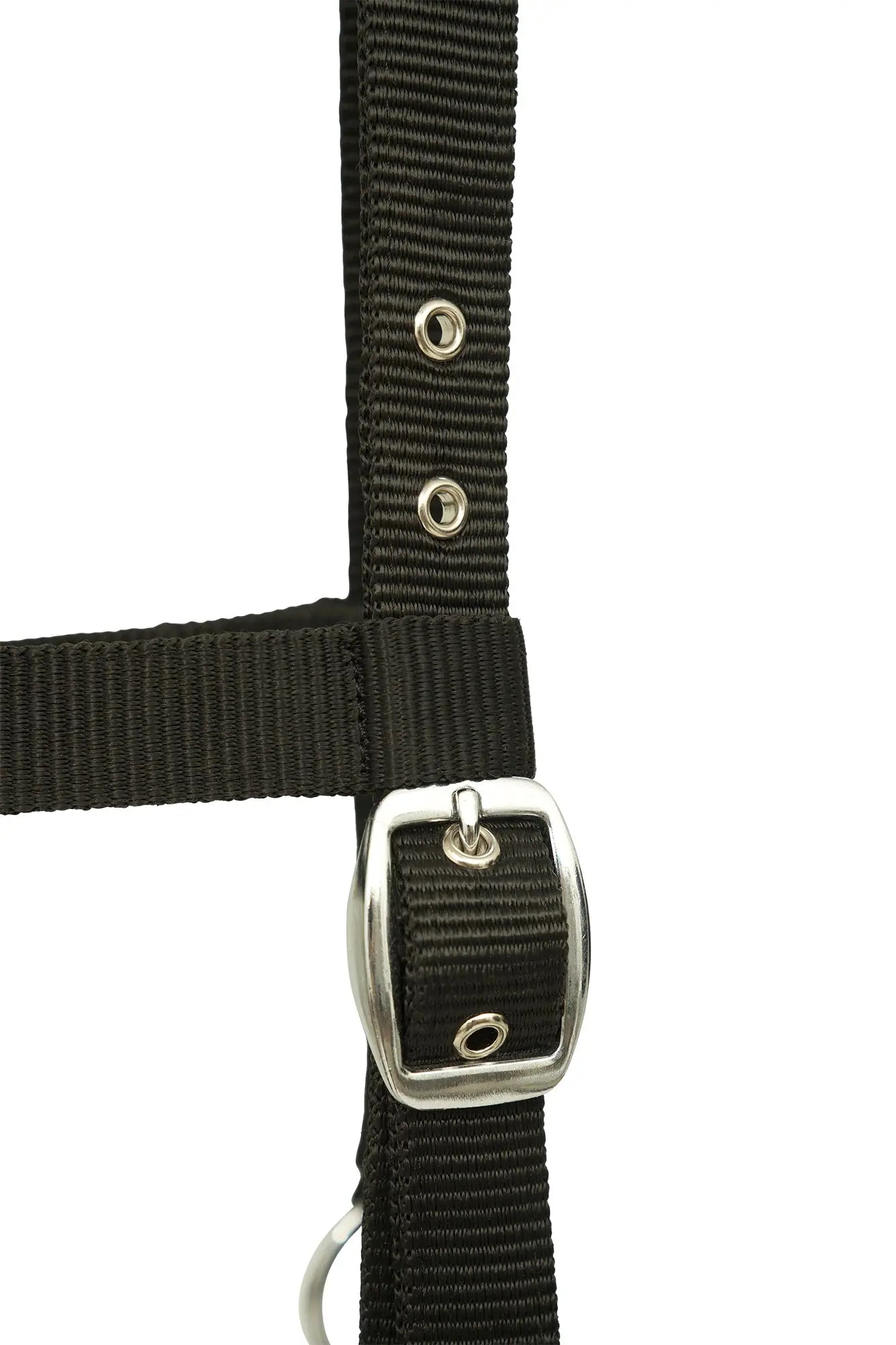Huntley Nylon Padded Lunging Caveson, Black Huntley Equestrian