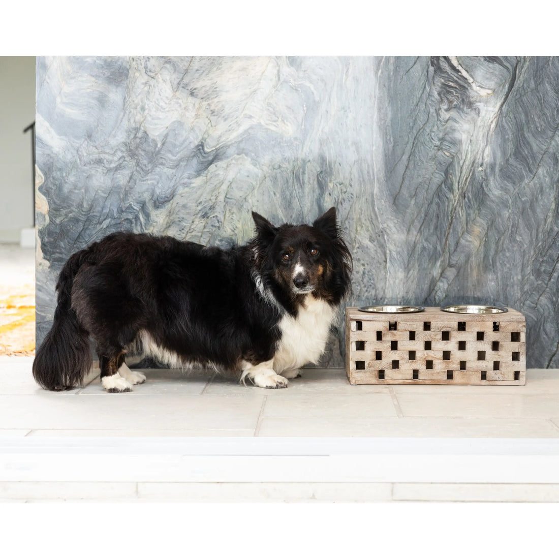 Huntley Pet Elevated Dog and Cat Double Bowl Feeder - Huntley Equestrian