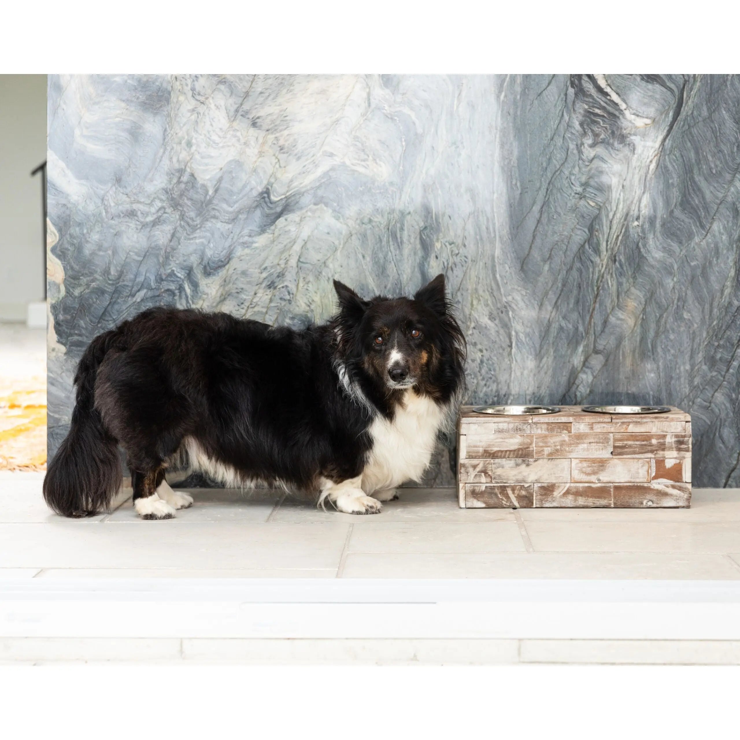 Huntley Pet Elevated Dog and Cat Double Bowl Feeder - Huntley Equestrian