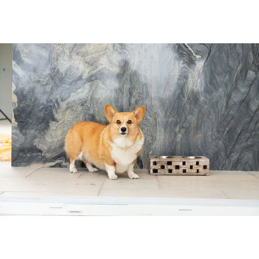 Huntley Pet Elevated Dog and Cat Double Bowl Feeder - Huntley Equestrian