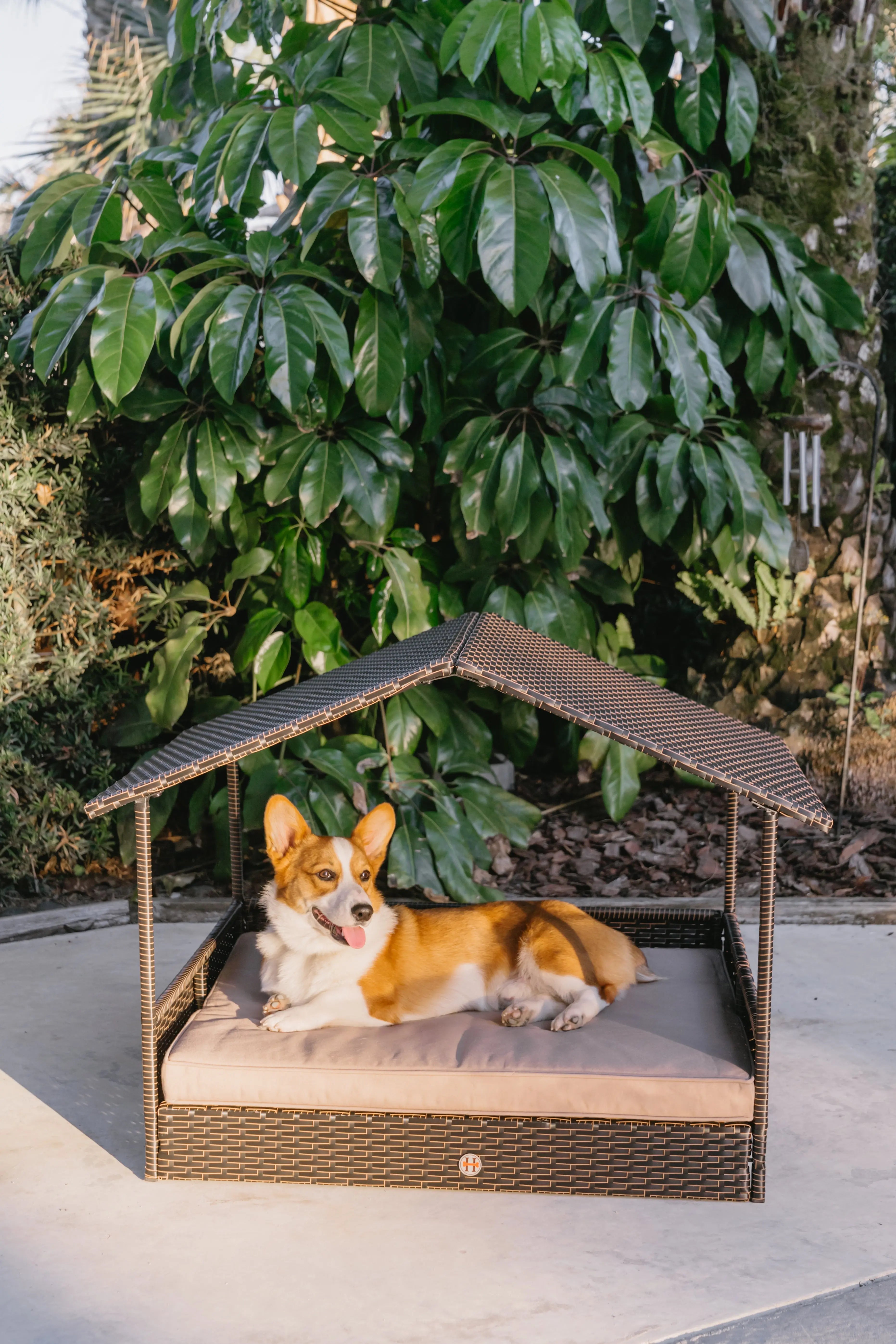 Huntley Pet Rattan Wicker Indoor Outdoor Cabana Raised Pet Bed Huntley Equestrian