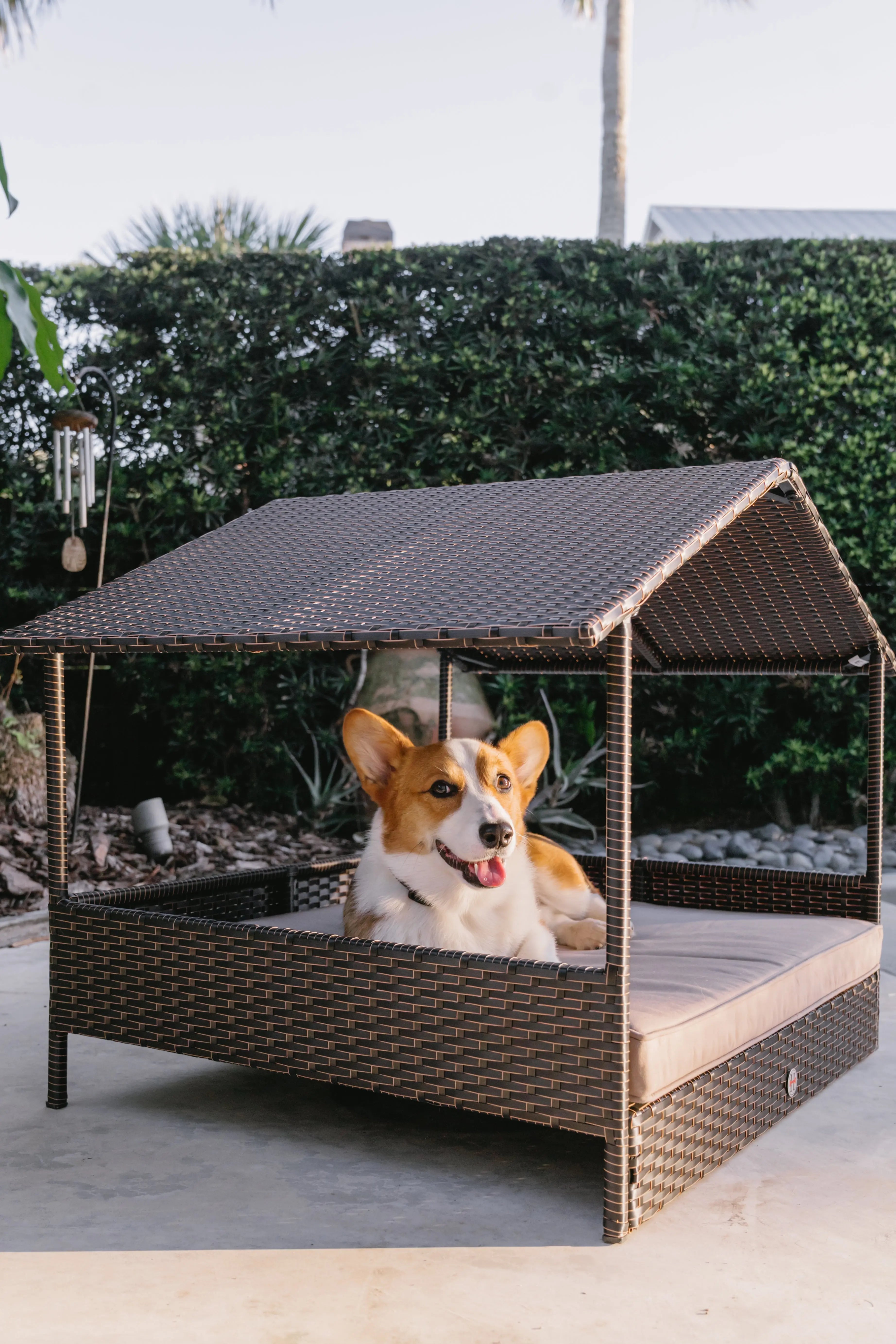 Huntley Pet Rattan Wicker Indoor Outdoor Cabana Raised Pet Bed Huntley Equestrian