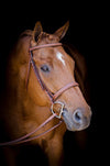 Huntley Equestrian Sedgwick Leather Fancy Stitched English Bridle Pieces - Huntley Equestrian